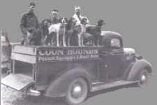 Hunting with Hounds